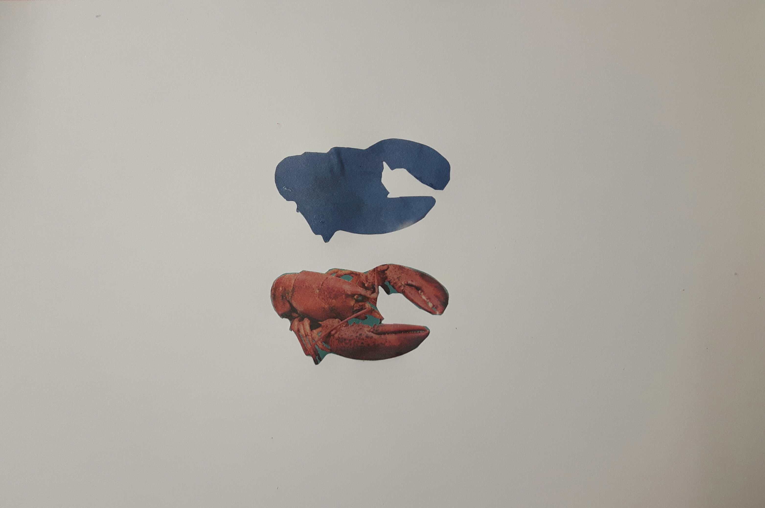 13.7.17.jpg