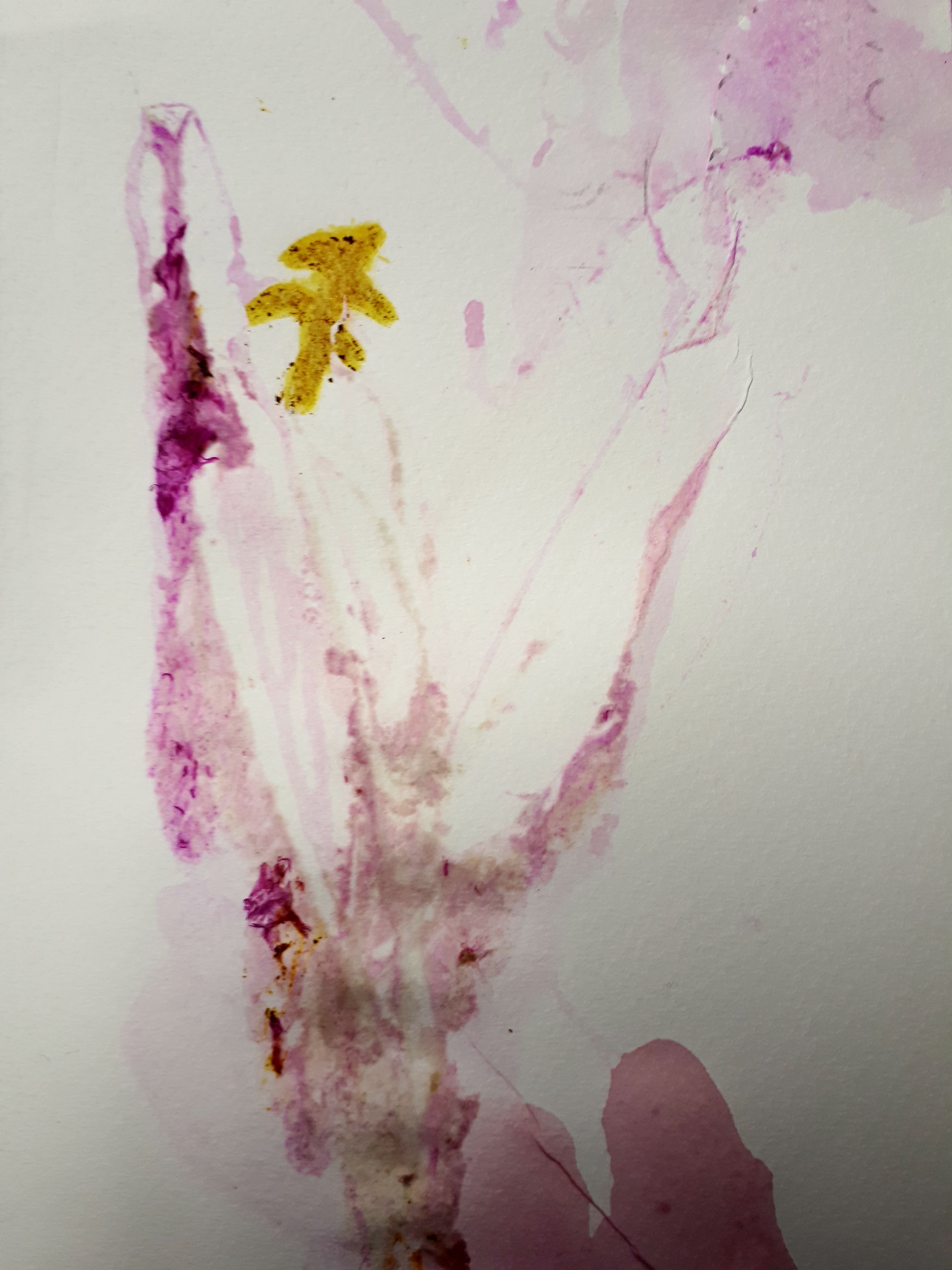 19.4.18