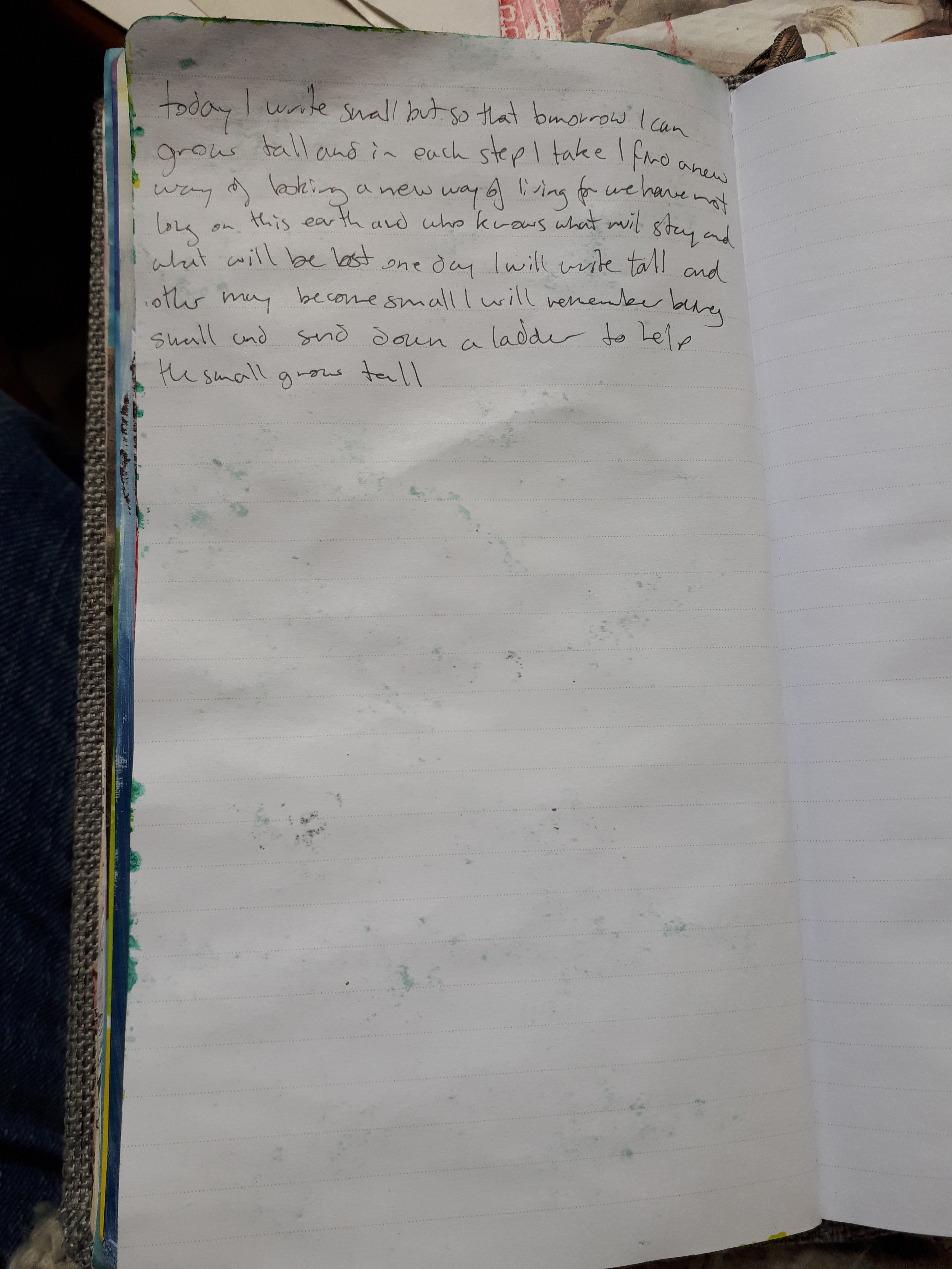 27.1.19