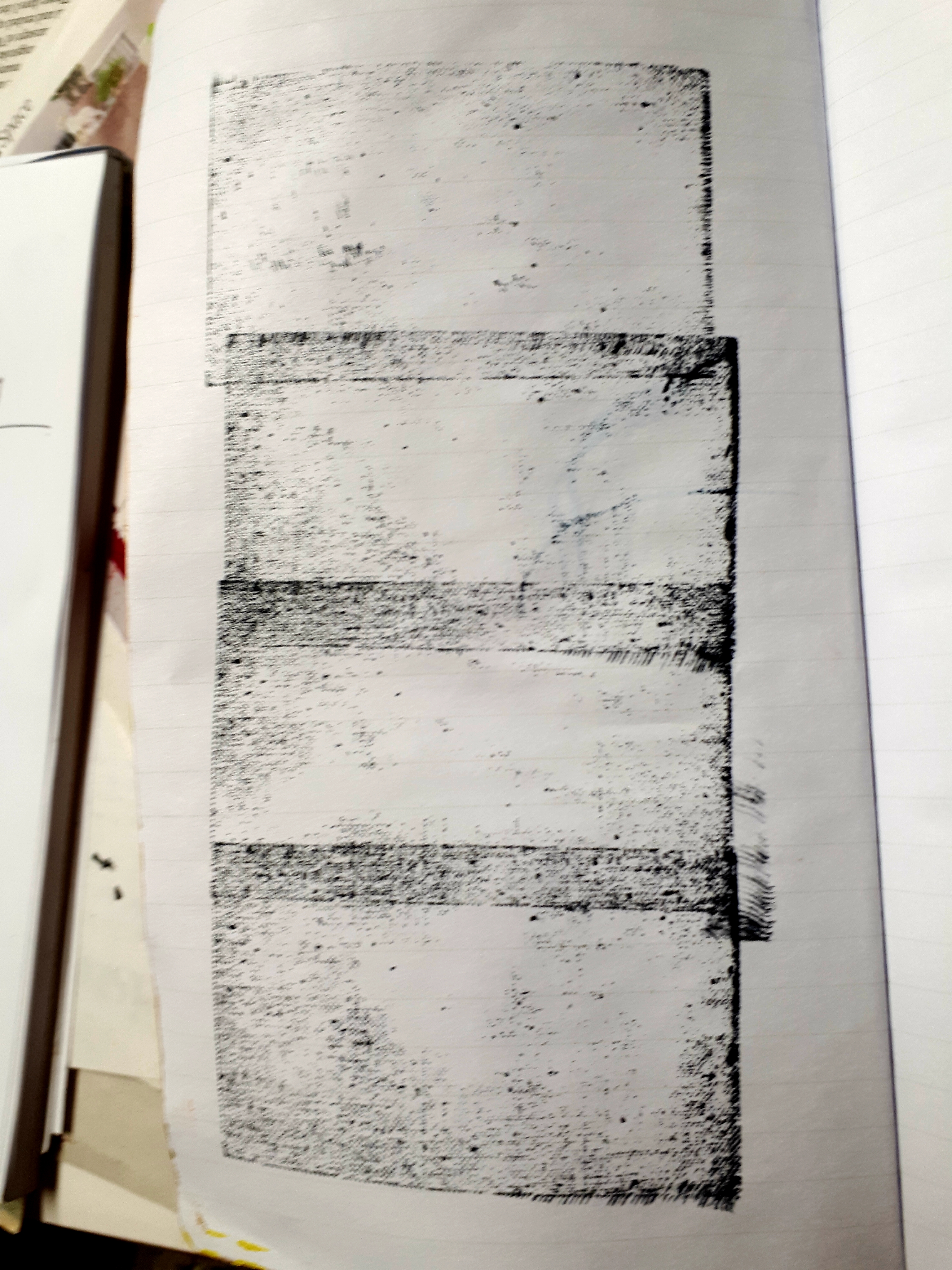 29.1.19