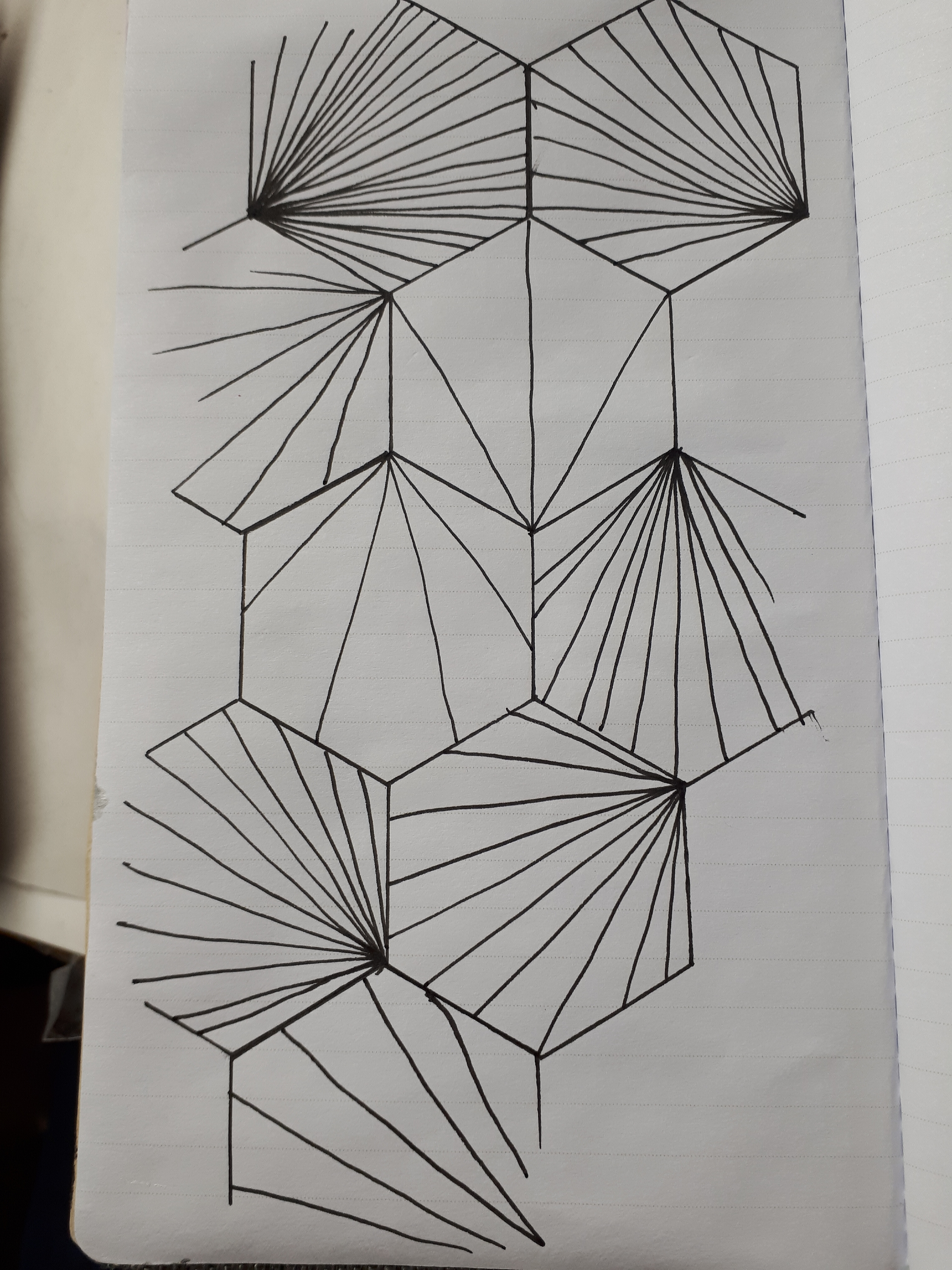 6.1.19