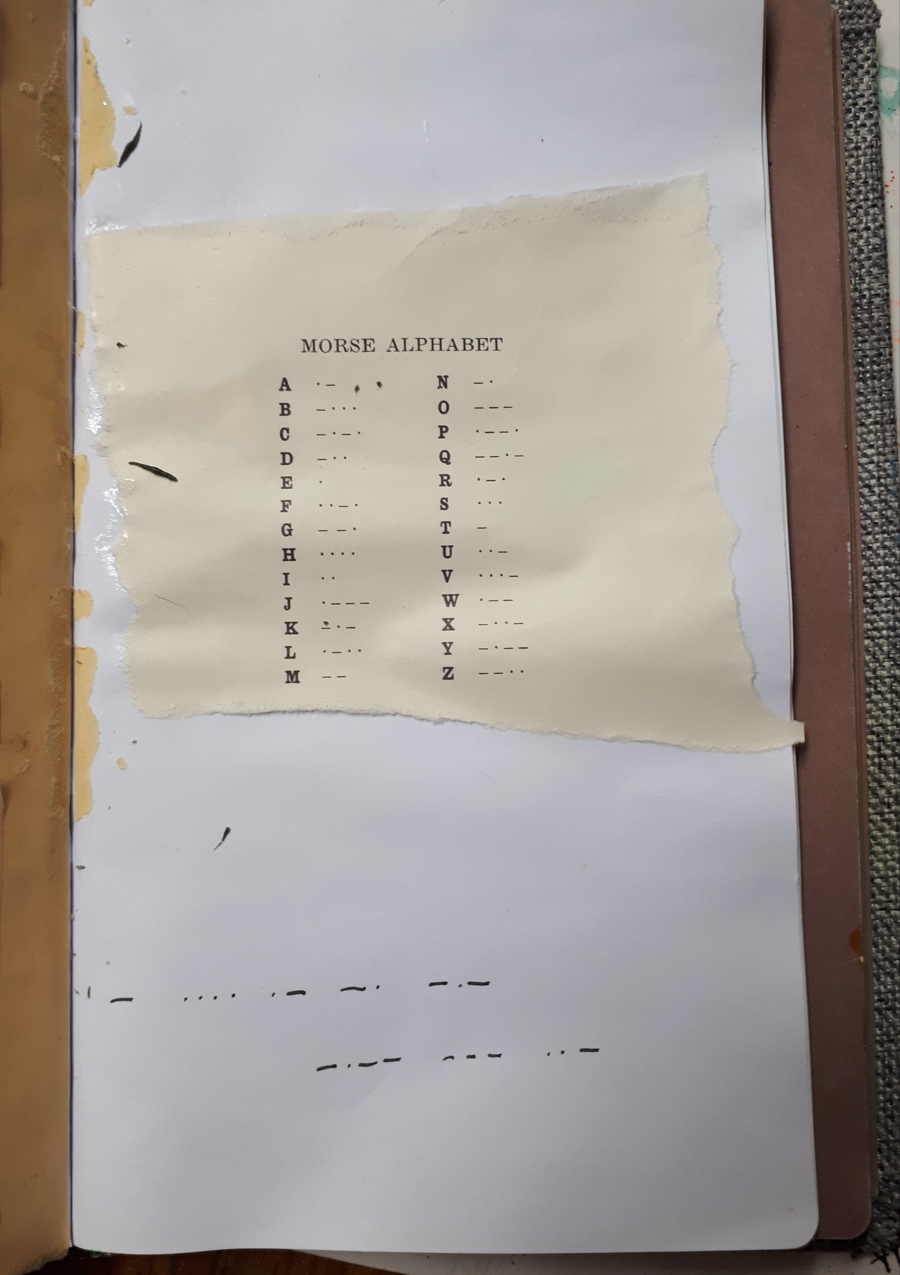 28.3.19.jpg