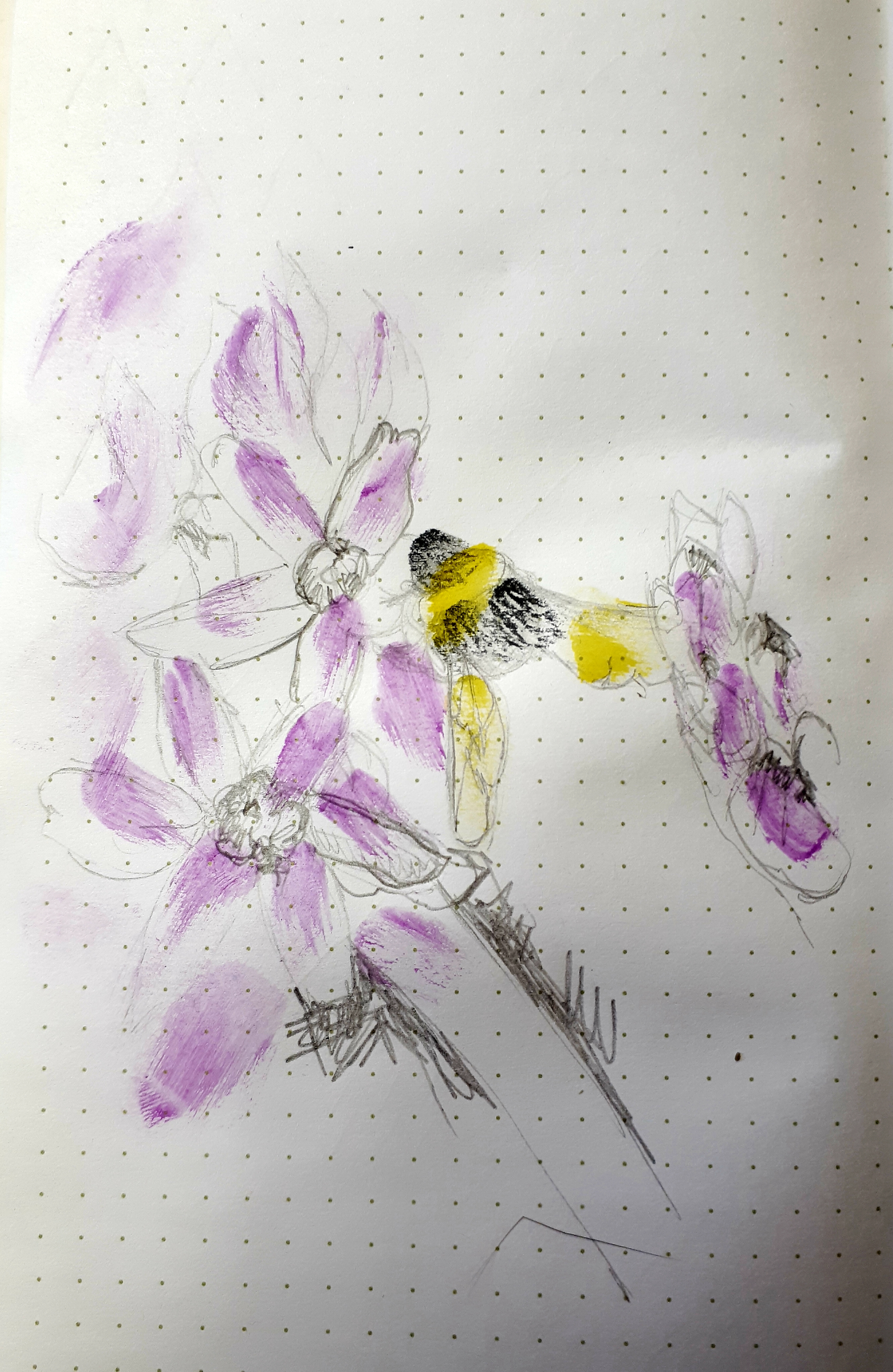 15.5.19.jpg