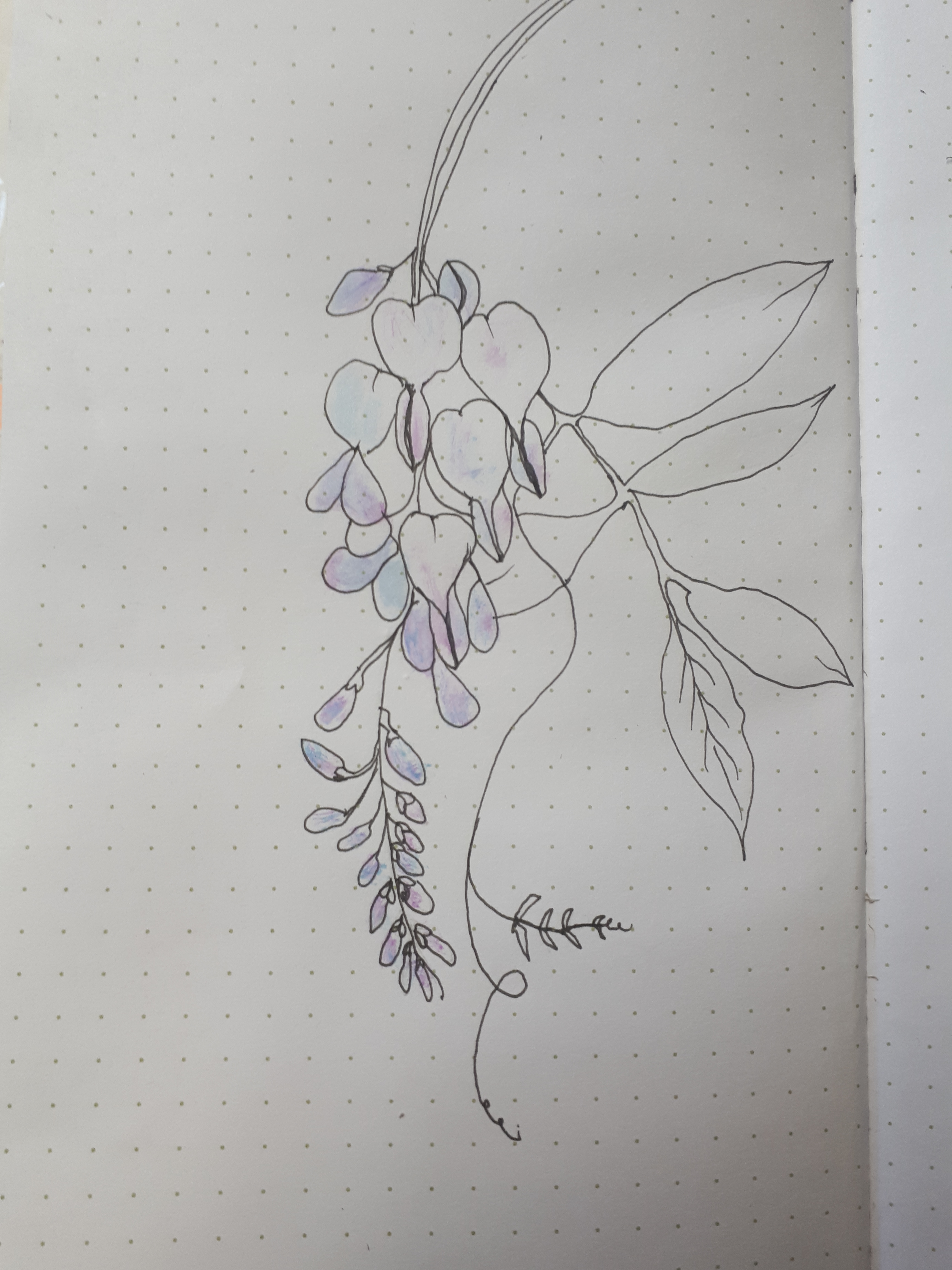 27.5.19